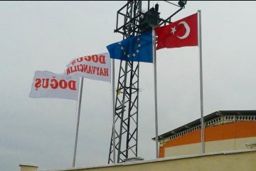 Doğuş Hayvancılık ve Besicilik Çiftliğimiz