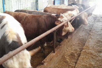 Doğuş Hayvancılık ve Besicilik Çiftliğimiz