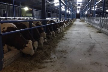 Doğuş Hayvancılık ve Besicilik Çiftliğimiz