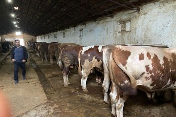 Doğuş Hayvancılık ve Besicilik Çiftliğimiz