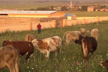 Doğuş Hayvancılık ve Besicilik Çiftliğimiz