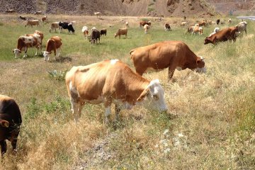 Satış ve Sevkiyatlar