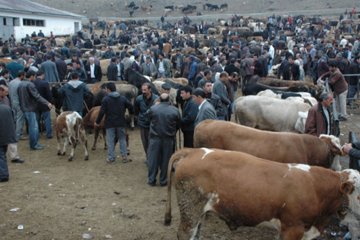 Satış ve Sevkiyatlar