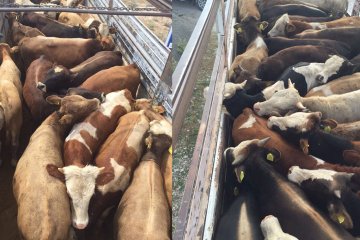 Satış ve Sevkiyatlar