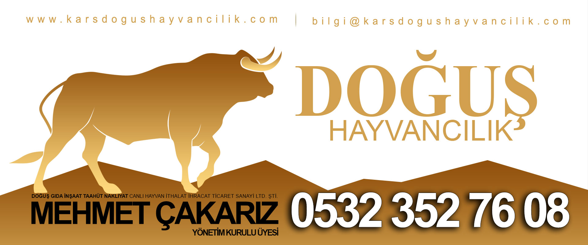 Sıkça Sorulan Sorular